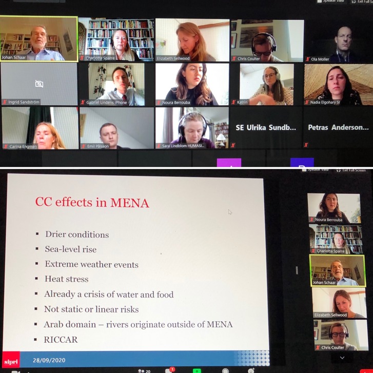 Webinar Climate Security