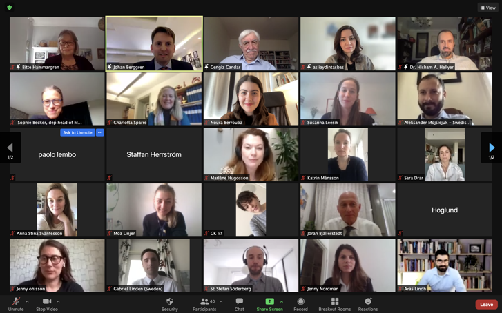 Turkey MENA webinar