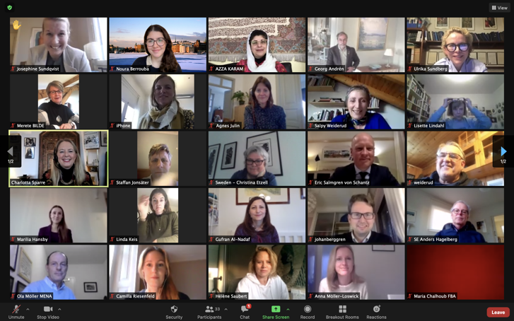 Webinar Religion and Diplomacy